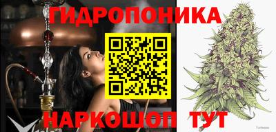 ПСИЛОЦИБИНОВЫЕ ГРИБЫ Кунгур